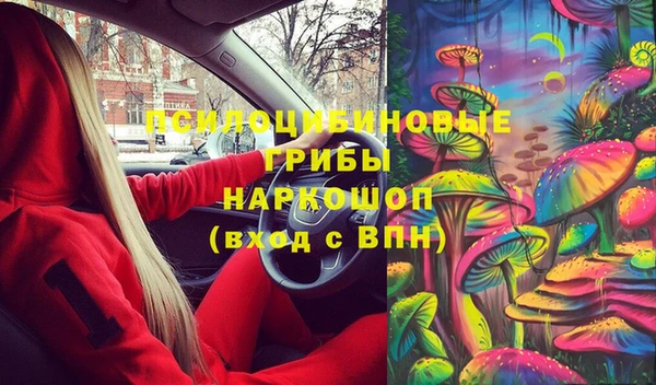 винт Бородино